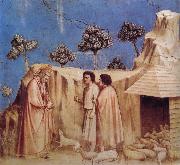 GIOTTO di Bondone Joachim Takes Refuge in the Wilderness oil